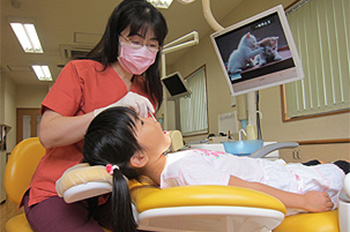 小児歯科