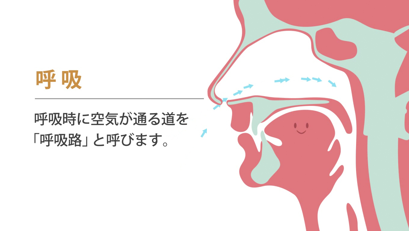 歯科矯正ランパ療法10