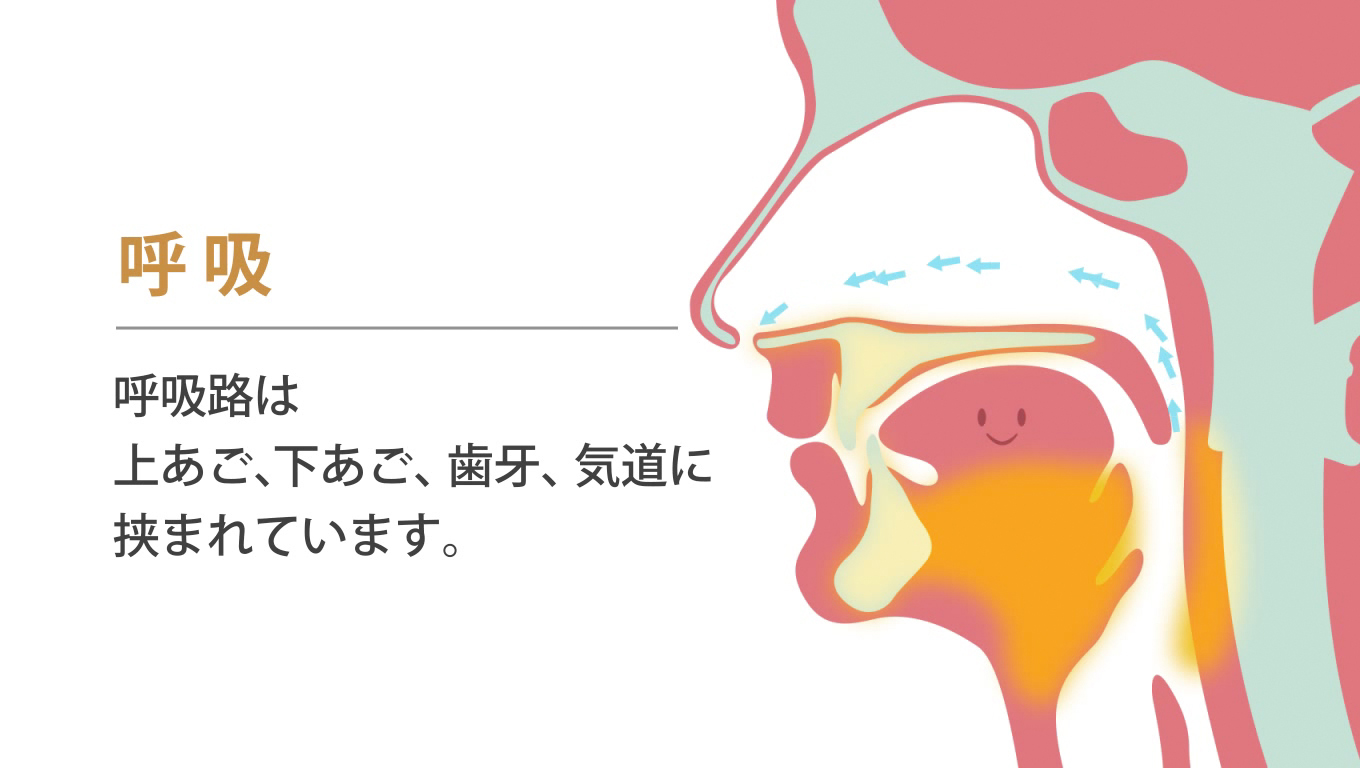 歯科矯正ランパ療法11