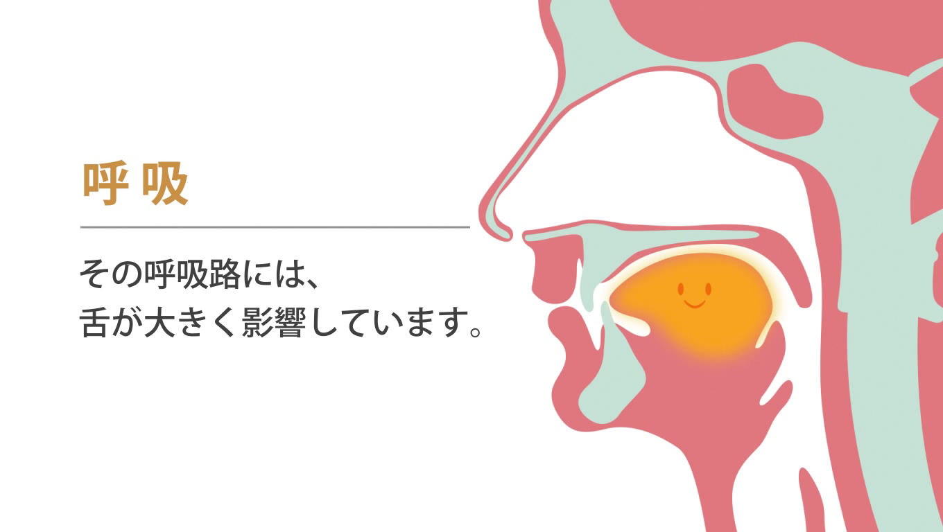 歯科矯正ランパ療法12